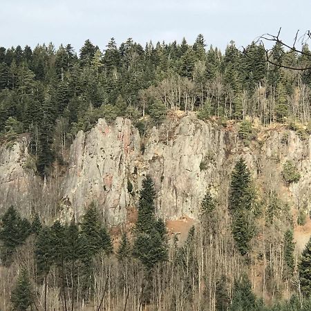 Ferienwohnungen Beilerstaedtle Oppenau Bagian luar foto