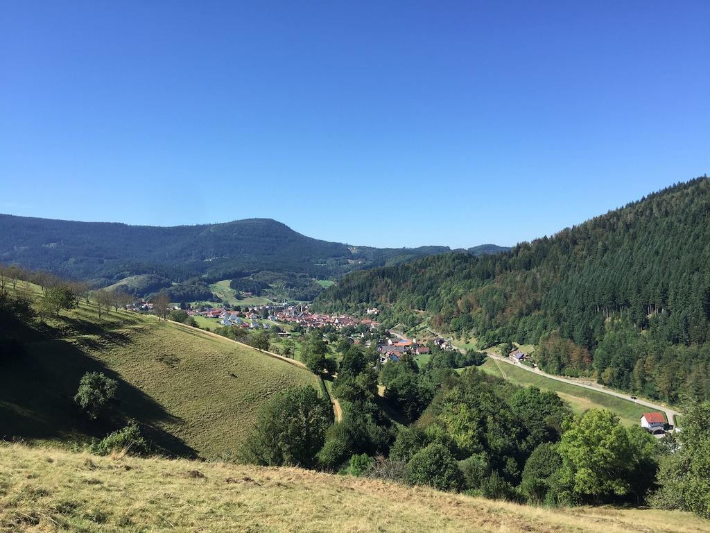 Ferienwohnungen Beilerstaedtle Oppenau Bagian luar foto